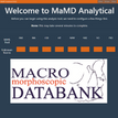 MaMDAnalytical